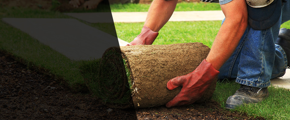 Duncan Landscapers